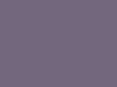 CHIC VIOLET