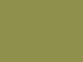 CHIC GREEN