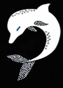 Strass ΣΤ20