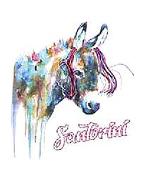 Strass ΣΤ26